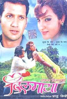 Dilmaya